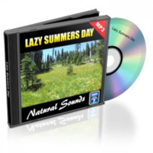Sommer Tag (Mp3)