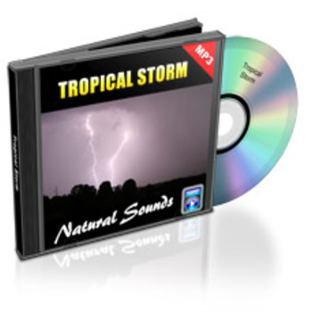Tropischer Sturm (Mp3) - zum Schließen ins Bild klicken